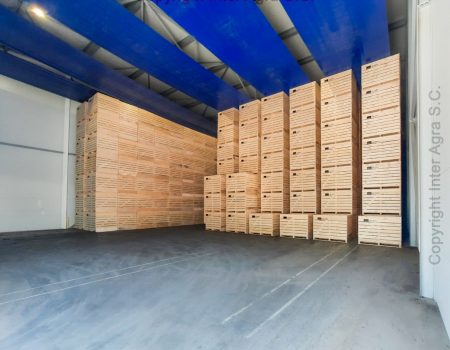 Houten kisten voor zuigventilatiesysteem met uien en aardappelen